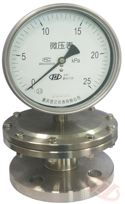 膜片压力表 膜片压力表